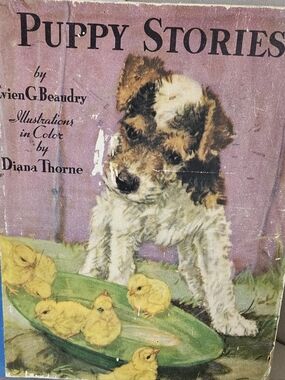 Vintage (1934) " Puppy Stories" Hardcover. Beauty, Evien G.